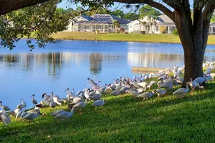 6711 Dickinson Terrace, Port Saint Lucie, FL 34952 - Photo 52