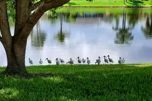 6711 Dickinson Terrace, Port Saint Lucie, FL 34952 - Photo 30