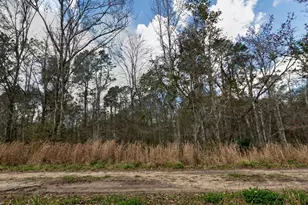 10335 Hennessey Ave, Hastings, FL 32145 - Photo 1