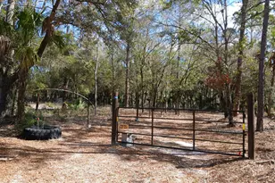 11991 W Flaxen Dr, Crystal River, FL 34428 - Photo 1