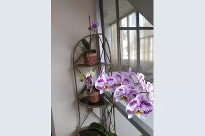 200 Stratford O, West Palm Beach, FL 33417 - Photo 10