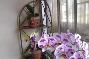 200 Stratford O, West Palm Beach, FL 33417 - Photo 10