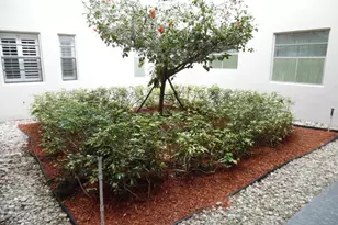 157 Capri D, Delray Beach, FL 33484 - Photo 16