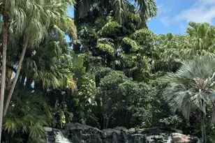 297 Deer Creek Blvd, Deerfield Beach, FL 33442 - Photo 48