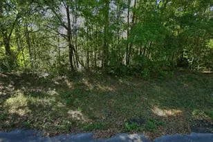 212 Dolphin Cir, Middleburg, FL 32068 - Photo 1
