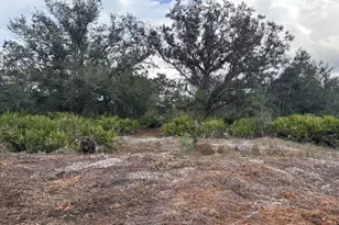 0 NW 290th St, Okeechobee, FL 34972 - Photo 1