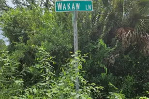 801 Wakaw Ln SW, Palm Bay, FL 32908 - Photo 1