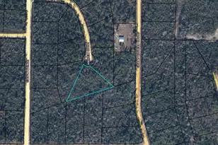 0 Andrew, Marianna, FL 32448 - Photo 1