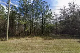 0 Charlie Rd, Jacksonville, FL 32218 - Photo 1