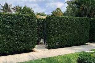 225 Everglade Ave, Palm Beach, FL 33480 - Photo 1