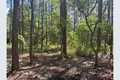 0 Dahlia Rd Road, Deland, FL 32724 - Photo 1