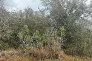17667 NW 254th St, Okeechobee, FL 34972 - Photo 1