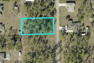 2219 Jackson Ave, Alva, FL 33920 - Photo 1