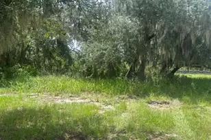 0 Old Stokes Rd, Frostproof, FL 33843 - Photo 1