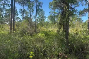 1017 Granger St, Lake Placid, FL 33852 - Photo 1