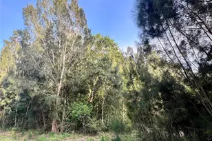 10128 NE 20th Ln, Okeechobee, FL 34974 - Photo 1