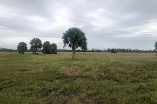 11968 Ronda Dr, Placida, FL - Photo 1