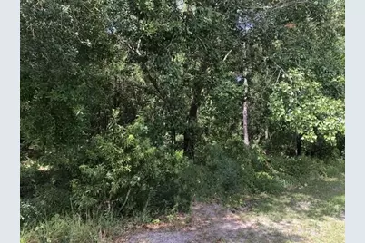 2345 N Yucca Road, Avon Park, FL 33825 - Photo 1