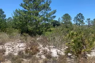 2918 W Gaffney Rd, Avon Park, FL 33825 - Photo 1