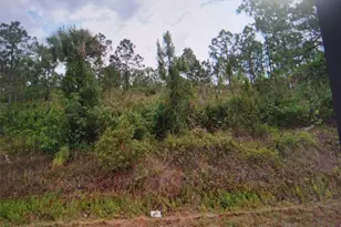 817 State Ave, Lehigh Acres, FL 33972 - Photo 1