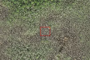 0 Holopaw Groves Rd, Saint Cloud, FL 34772 - Photo 1