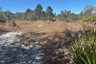 0 Xeriscape Nursery Rd, Frostproof, FL 33898 - Photo 1