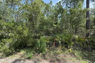 182 Millican Rd, Palatka, FL 32177 - Photo 1