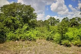 8013 Buttercup Cir, Labelle, FL 33935 - Photo 1