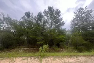 206 Wales St, Interlachen, FL 32148 - Photo 1