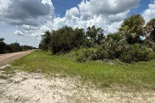 15993 NW 314th St, Okeechobee, FL 34972 - Photo 1