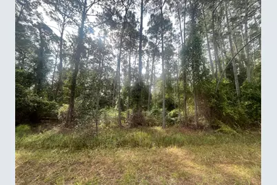 107 Pine Avenue, Georgetown, FL 32139 - Photo 1