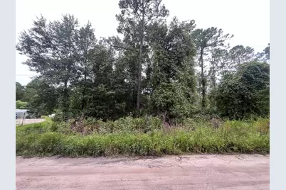 0 Hickory Nut Trail Trail, Satsuma, FL 32189 - Photo 1