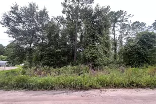 0 Hickory Nut Trail Trail, Satsuma, FL 32189 - Photo 1