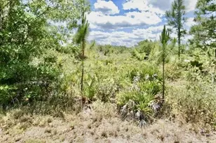 3362 Rhododendron Rd, Lake Placid, FL 33852 - Photo 1