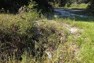 18336 NW 308th St, Okeechobee, FL 34972 - Photo 1