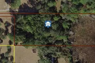 0000 NE 130th Ct Rd, Fort Mc Coy, FL 32134 - Photo 1