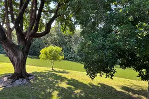 87 Windsor D, West Palm Beach, FL 33417 - Photo 1