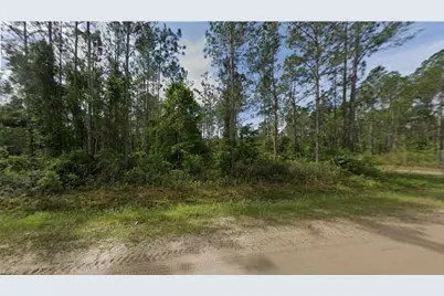 10720 Beckenger Avenue, Hastings, FL 32145 - Photo 1