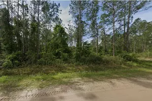 10720 Beckenger Ave, Hastings, FL 32145 - Photo 1