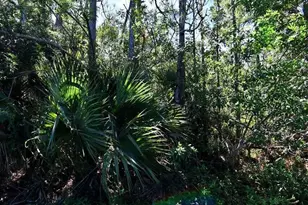 0 Macquillen Rd, Port Saint Lucie, FL 34952 - Photo 1