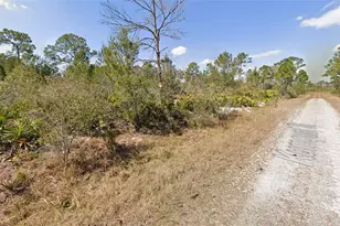 1256 Kumquat St, Lake Placid, FL 33852 - Photo 1