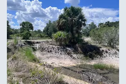 15731 NW 296th Street, Okeechobee, FL 34972 - Photo 1