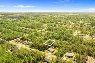 000 Tbd, Ocklawaha, FL 32179 - Photo 1