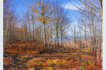 Lot 5 Mine Road, Stoneham, ME 04231 - Photo 1