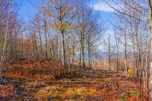 Lot 5 Mine Road, Stoneham, ME 04231 - Photo 1