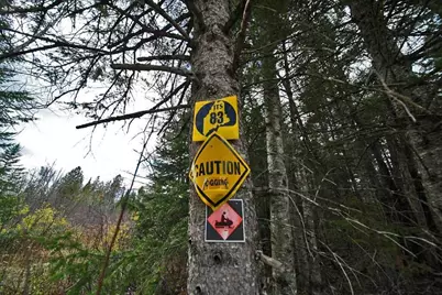 Lot 18 US Rt 2 Highway, Sherman, ME 04776 - Photo 8