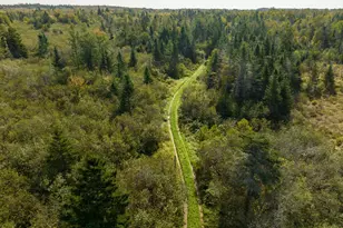 117 Denbow Rd, Lubec, ME 04652 - Photo 50
