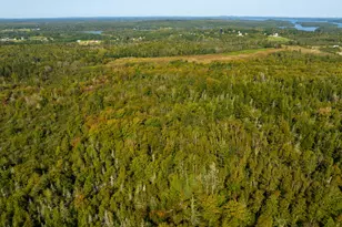117 Denbow Rd, Lubec, ME 04652 - Photo 44