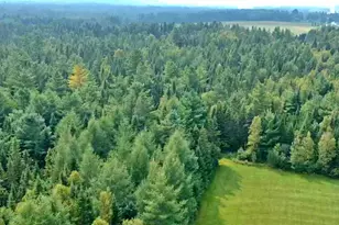 54 St John Rd, Fort Kent, ME 04743 - Photo 8