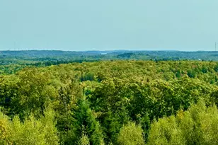 382 Ridge Rd, Marshfield, ME 04654 - Photo 12